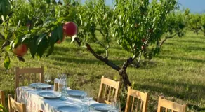 Mestvireni - Image 5