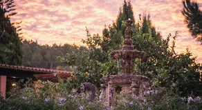 Finca Caballo Blanco - Image 4