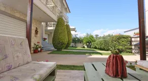 Para Thin Alos - Image 3