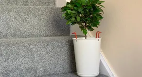 Buccleuch Apartment - Image 5