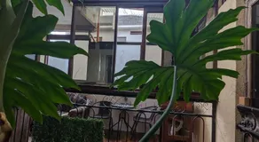 Casa González - Image 4