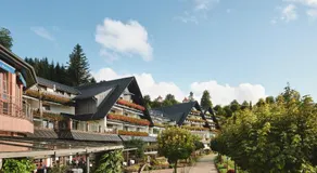 Hotel Dollenberg - Image 4