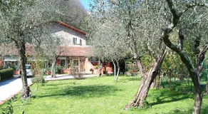 Gli Ulivi Bed & breakfast - Image 5