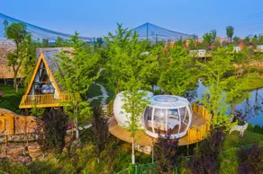 Nantong Sendi Tribe Treehouse - Image 2