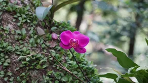 Hsin Tao Hotel - Image 5
