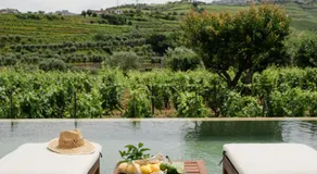 IMAGO Houses - Douro Valley - By MET - Image 4