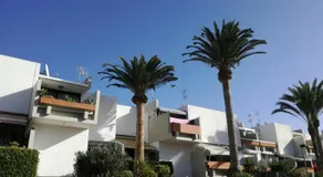 Primavera Tenerife - Image 4