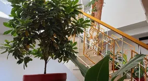 Hotel Rosandy Galaxy - Image 3