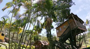 La Casa del Arbol - Image 5