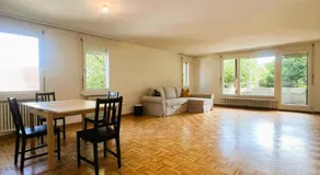 Large Flats, Zurich Lake HWA - Self Checkin - Image 3
