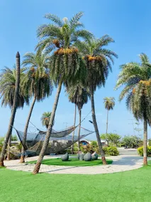 Palm Beach Resort - Image 4