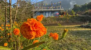 Casa Blu - Image 3