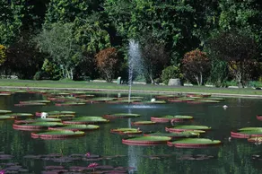 Duta Hotel - Image 5
