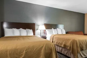 Spark by Hilton Danbury near University - Image 3