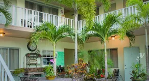 The Big Coconut Guesthouse - Gay Men's Resort - Image 5