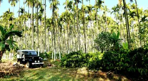 Coffee Native - A Family Homestay - Image 5