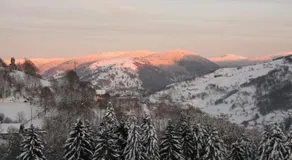 La Ferme du Vieux Sapin - Image 5