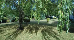 Park Hotel - Image 5