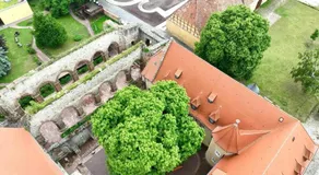 Stiftung Kloster und Kaiserpfalz Memleben - Image 4