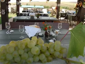 Country Club La Mesteceni - Image 4