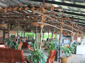 UK FARM Agro Resort - Image 4