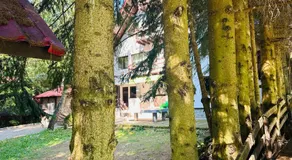 Casa Mario - Image 4