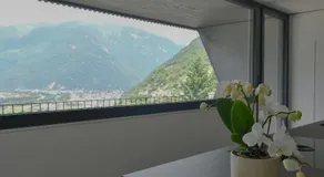 The Window - Image 4