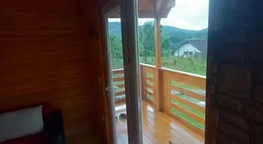 Tiny H - Image 3