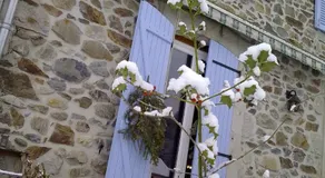 La tanière - Image 4