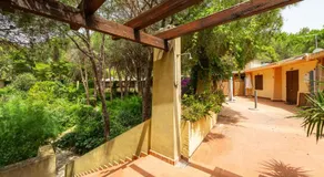 Appartement 'Appartamento Pinus' avec terrasse privée et climatisation - Image 5