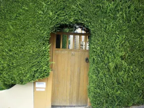 Belton Apartments-Hedge Cottage - Image 5
