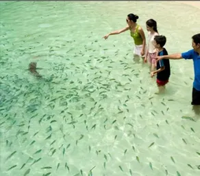 Live on sea water - Image 3