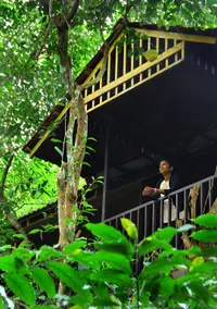 Planet Green Plantation Resorts, Wayanad, Kerala - Image 3