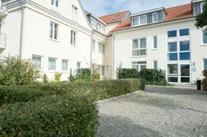 Inselquartett - Fewo Hiddensee - Image 5