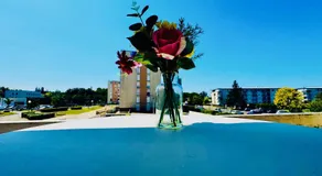 Coeur de Dammarie - 2Ch - Balcon - Parking - Gare - Image 3