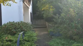 Andinas Ferienwohnung in ruhiger Lage direkt am Wald - Image 4