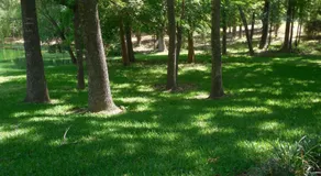 Dogwood Springs Lodgings - Image 4