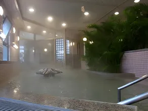 Ryokan Nadeshiko no Yu - Image 4