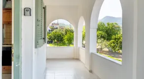 Olivea Apt 4 - Image 4