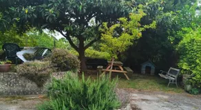 La Buganvilla - Image 5