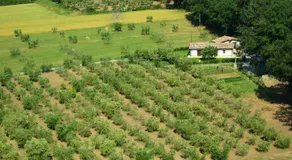 La Casa nella Prateria - Image 4