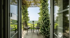 Peterc Vineyard Estate - Image 4