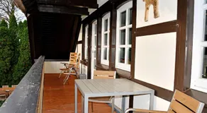 Reetdachfachwerkvilla am Wiesengrund - Image 5