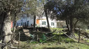 la masseria di Antonio e Teresina - Image 3