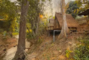 Scent of Forest | Riverside Bamboo Cabin - Image 5