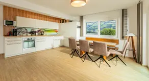 H19 - Modernes Ferienhaus 145qm, 3SZ, Wellnessbereich mit Sauna und Dachterrasse mit Panoramablick, Kühlen und Heizen mit Geothermie - Image 2
