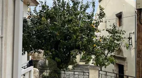 Villa Stephanos - Image 4