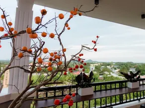 Sunny Hotel Xuyên Mộc - Image 5