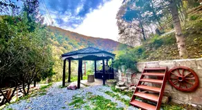 Căsuța din Pădure - Image 4