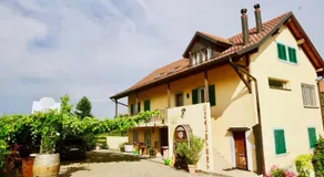 Cave Du Treyblanc - Image 2